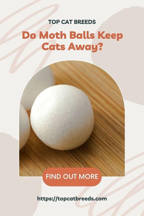 Moth balls are chemical compounds that can be used as a type of rodenticide. These chemicals can also repel cats, but this is not the intended use for moth balls. #topcatbreeds #felines #cats #kittens Moth Balls, Chemical Compounds, Cat Repellant, Top Cat, Better Homes And Garden, Cat Top, Cats Kittens, All About Cats, Cat Pin