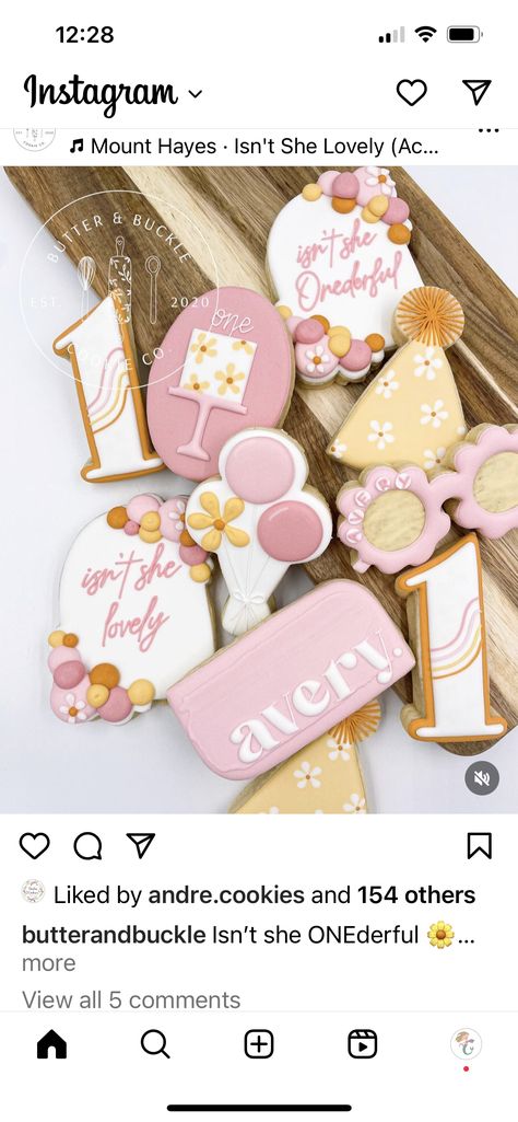 Isn’t She Lovely Isn’t She Onederful Cookies, Onederful Birthday Cookies, Isn’t She Onederful Cookies, Isn’t She Wonderful 1st Birthday, Little Miss Onederful Birthday Girl, Onederful Birthday, First Birthday Cookies, 1st Birthday Themes, First Birthday Party Themes