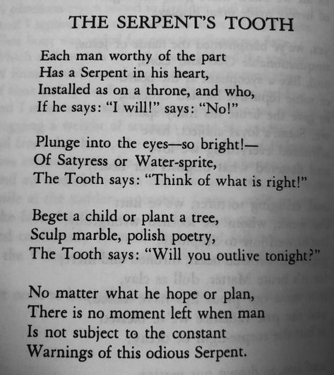 The Serpents Tooth from The Flowers of Evil by Charles Baudelaire. Flowers Of Evil Baudelaire, Flowers Of Evil, Charles Baudelaire, Baudelaire Quotes, Evil Quotes, The Flowers Of Evil, A Series Of Unfortunate Events, Yoga Quotes, Reading Quotes