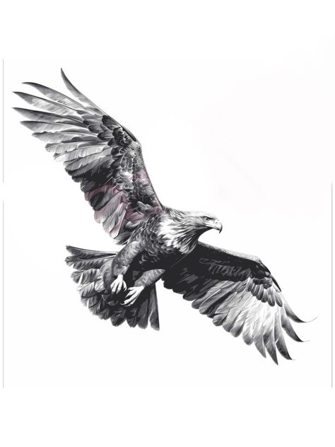 Australian Eagle Tattoo, Eagle Wingspan Tattoo, White Tailed Eagle Tattoo, Wedge Tailed Eagle Tattoo, Realism Eagle Tattoo, Eagle Flying Tattoo, Soaring Eagle Tattoo, Golden Eagle Tattoo, Eagle Tattoo Ideas