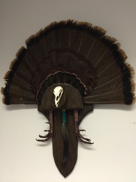 Full Body Turkey Mounts Taxidermy, Turkey Skull Mount, Turkey Tail Feather Mounts, Turkey Mounts Ideas, Turkey Feather Mount Ideas, Diy Turkey Mount, Turkey Mount Ideas Display, Turkey Feather Display, Turkey Feather Mount