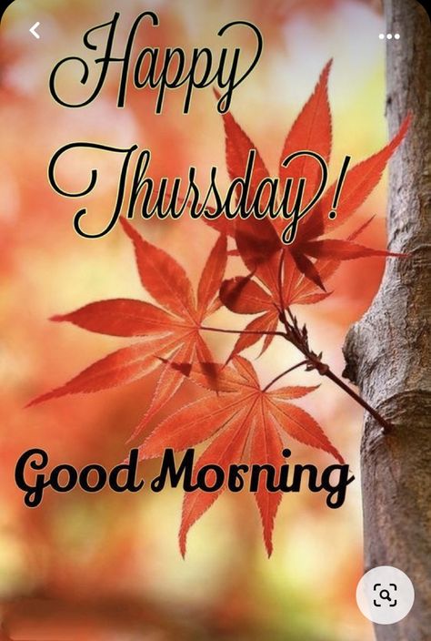 Bless Thursday, Thursday Morning Images, Happy Thursday Morning, Day And Night Quotes, Good Morning Thursday Images, Good Morning Gif Images, Happy Thursday Images, Good Morning Wishes Friends, Thursday Images