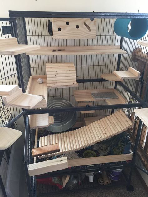 Awesome chinchilla cage setup with lots of wooden ledges and hideouts. I love the long wooden bridge at the bottom of the cage. Chinchilla Diy, Diy Chinchilla Toys, Degu Cage, Pet Rat Cages, Chinchilla Care, Hedgehog Cage, Chinchilla Toys, Chinchilla Pet, Chinchilla Cage