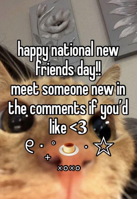 happy national new friends day! (october 19th) ⭐️ #whisper #holiday #save #fyp #friends ⭐️ please read my account description ⭐️ whisper, cat, silly, relatable, invite, make new friends, for you, fresh pin Cat Silly, National Best Friend Day, Word Quotes, Meeting Someone New, Friends Day, Make New Friends, My Account, Make Me Happy, New Friends