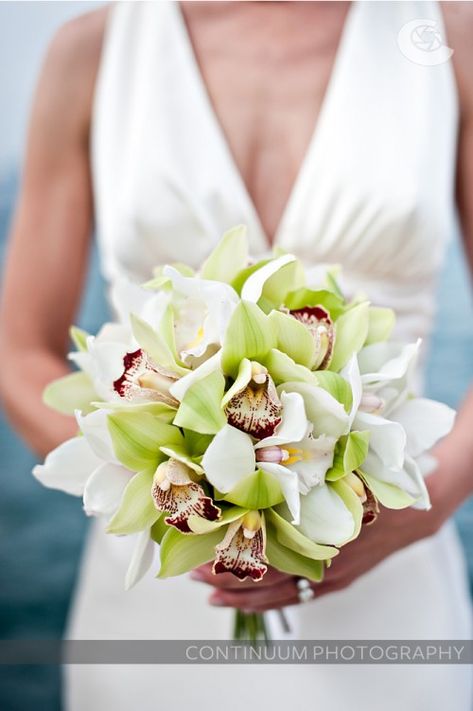 Flowers Orchid Wedding Theme, Orchid Bridal Bouquets, Orchid Bouquet Wedding, Orchid Bouquet, Green Orchid, Orchid Wedding, Cymbidium Orchids, Restaurant Wedding, Bouquet Arrangements