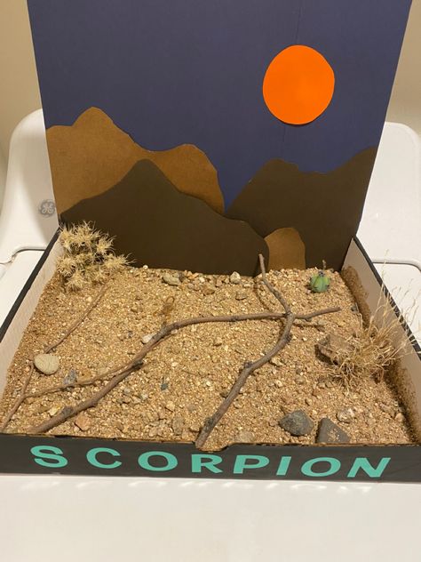 Scorpion In Desert, Desert Shoe Box Project, Scorpion Habitat Diorama, Desert Habitat Diorama, Desert Diorama Ideas, Desert Habitat Project, Desert Diorama Ideas For Kids, Desert Diorama Projects, Desert Project For School