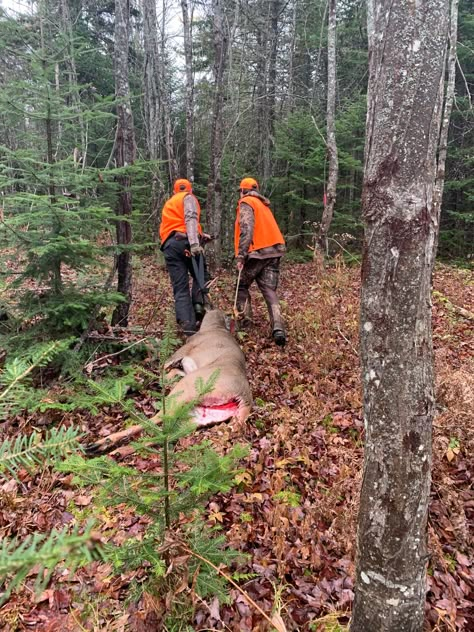 Hunter Deer, Hunting Photography, Big Deer, Blood Hunter, Northern Maine, Game Hunting, Big Game Hunting, Hunting Life, Hand Photo