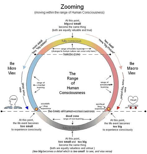 Hawkins Map, Map Of Consciousness, The Way Movie, David Hawkins, Energy Psychology, Spirit Science, Personal Energy, Astrology Numerology, Vibrational Energy