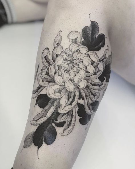 120 Cool Chrysanthemum Tattoo Designs With Meanings (2022) - TattoosBoyGirl Chrysanthemum Tattoos, Crisantemo Tattoo, Flor Tattoo, Japanese Flower Tattoo, Chrysanthemum Tattoo, Devil Tattoo, Tattoo Flowers, London Tattoo, Botanical Tattoo