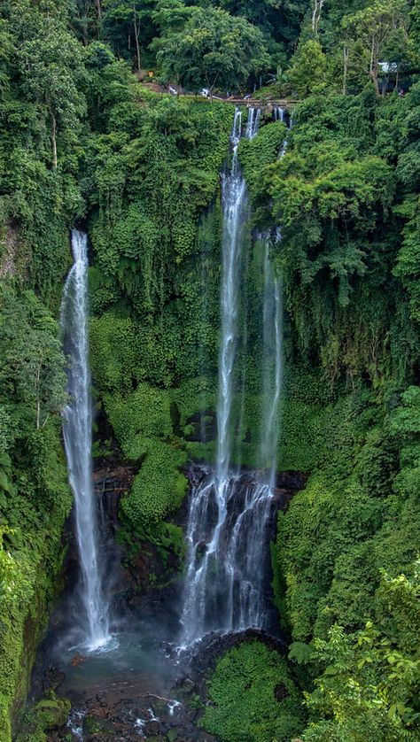 Sekumpul Waterfall also known locally as Air Terjun Sekumpul, is arguably Bali’s most spectacular cascades with a collection of 7 tall, misty waterfalls in one area.  The seven waterfalls each has its own beauty, form, and height that look extraordinary and makes these waterfalls as the most gorgeous waterfall in Bali island. #sekumpulwaterfall #sekumpulbali #sekumpulwaterfallbali #waterfallsekumpul #baliwaterfall Waterfall Jumping, Waterfall Bali, Bali Waterfalls, Bali Guide, Bali Island, Air Terjun, Se Asia, Beautiful Spaces, Travel South