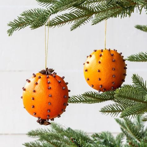 Orange Ornaments, Red Amaryllis, Fruit Ornaments, Orange Clove, Orange Christmas, Park Hill, Handcrafted Ornaments, Star Anise, Orange Fruit