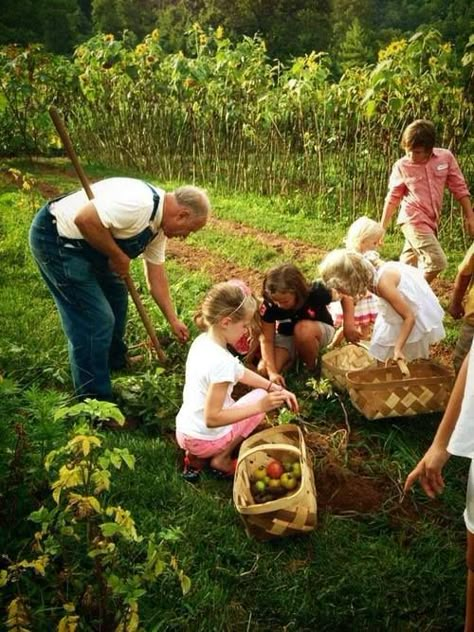 Farm Living, Farms Living, Down On The Farm, Village Life, Country Charm, Country Farm, Country Gardening, Jolie Photo, Family Farm