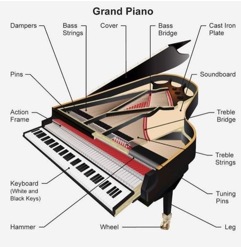 Piano Grand, Types Of Pianos, Exploded Diagram, Piano Restoration, Home Stratosphere, Piano Parts, Old Pianos, Upright Piano, Grand Piano