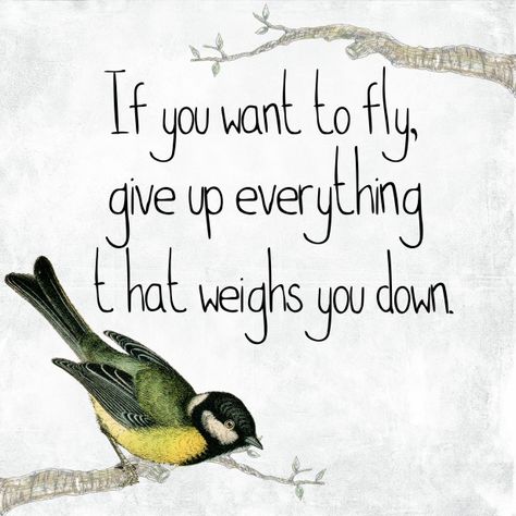 Inspirational Bird Quote Freedom Calligraphy: very uplifting with beautiful bird image Bird Quotes, Freedom Quotes, Quotes Positive, Quotable Quotes, Quote Posters, A Quote, Wise Quotes, Meaningful Quotes, The Words