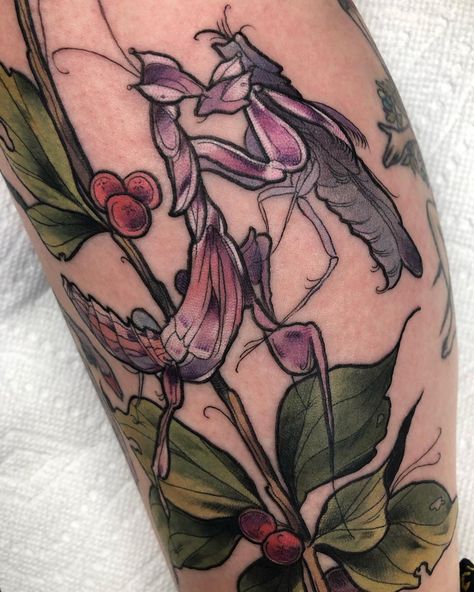 Ellie on Instagram: “Orchid mantis on a first date. For Liz 🥰 #illustration #insectillustration #botanicalillustration #botanicaltattoo #bugtattoo #mantistattoo…” Botanical Illustration Tattoo, Mantis Tattoo, Orchid Mantis, Orchid Tattoo, Insect Tattoo, Bug Tattoo, Pretty Ear Piercings, Tattoo People, Botanical Tattoo