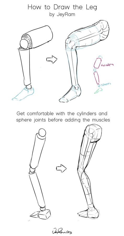 How To Draw Legs, Anime Anatomy, Leg Drawing, Leg Reference, Leg Anatomy, Feet Drawing, Drawing Legs, Human Body Drawing, Anatomy Tutorial