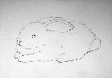 Adorable Art: Learn How to Paint a Beautiful Bunny By Margie Moore For my piece, I am choosing a sweet resting pose. Though this tutorial will deal mainly with tips on painting a bunny, your sketch is where the magic begins. If you are fairly new to drawing, here is a little help with structuring a rabbit form: Figure out how you want your rabbit to look, choose a pose and work up your sketch. Animal Sketching, Draw A Bunny, Bunny Sketch, Rabbit Pose, Floppy Bunny, Painted Bunny, Bunny Sketches, Bunny Painting, Bunny Drawing