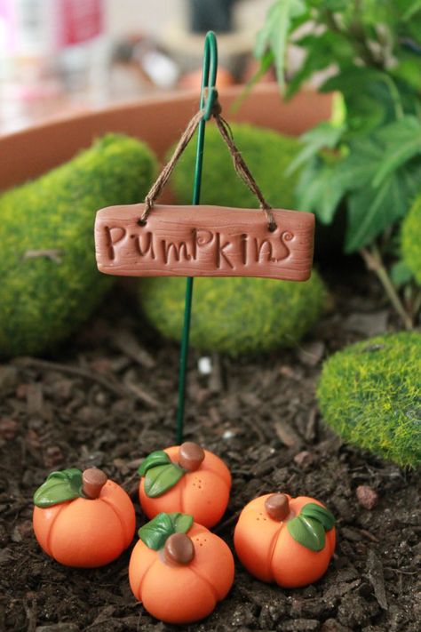 Hey, I found this really awesome Etsy listing at https://www.etsy.com/au/listing/236742331/polymer-clay-pumpkins-and-sign-terrarium Fairy Garden Design Ideas, Polymer Clay Kunst, Halloween Fairy Garden, Polymer Clay Fairy, Fairy Garden Crafts, Halloween Fairy, Fairy Garden Designs, Fairy Furniture, ดินปั้น Polymer Clay