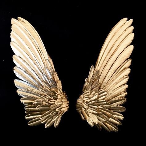 White And Gold Aesthetic Pictures, Gold Bird Aesthetic, Gold Wings Angels, Wing Aesthetics, Gold Aesthetic Pictures, Wings Aesthetics, Black And Gold Artwork, Angel Wings Aesthetic, Aesthetic Wings