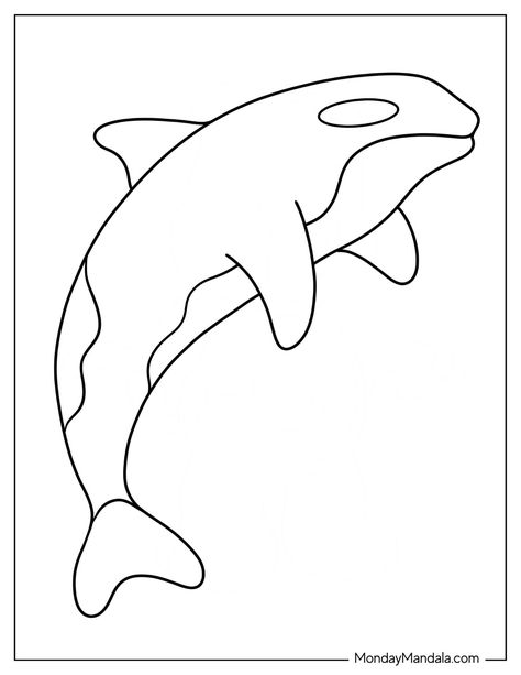 20 Killer Whale Coloring Pages (Free PDF Printables) Orca Coloring Pages, Orca Crafts For Kids, Whale Coloring Pages Free Printable, Water Coloring Pages, Orca Pattern, Popular Coloring Pages, Orca Drawing, Whale Outline, Whale Printable