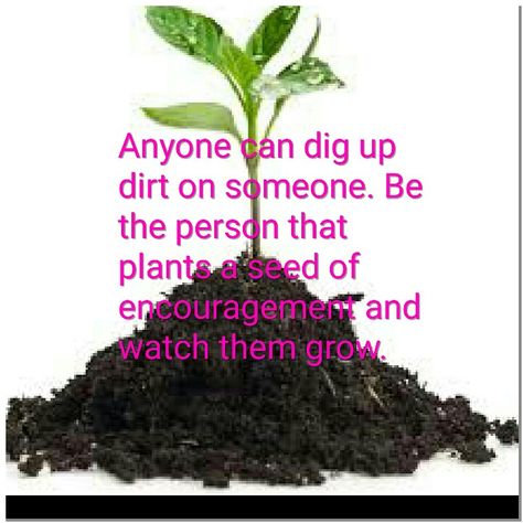 Plant a seed of encouragement and watch someone's faith grow. www.greatisinme.com Lent 2024, Seed Quotes, But God, Bible Lessons, Positive Words, All You Can, Planting Seeds, Thank God, Inspiring Quotes