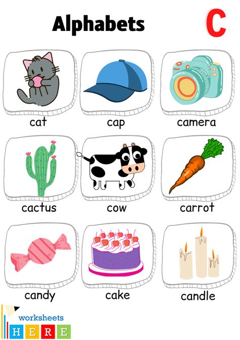 Letter C Words And Pictures, Letter C Pictures, C Words, English Alphabets With Pictures, Letter Pictures, Basic English Grammar Book, Preschool Pictures, Alphabet Train, Words List