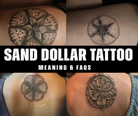 What is the symbolic meaning behind a sand dollar tattoo? Sand Dollar Tattoo For Women, Sandollar Tattoo Sand Dollars, Brass Knuckle Tattoo, Sand Dollar Tattoo, Sunscreen Tattoo, Ocean Theme Tattoos, Dollar Tattoo, Fingerprint Tattoos, Seashore Decor