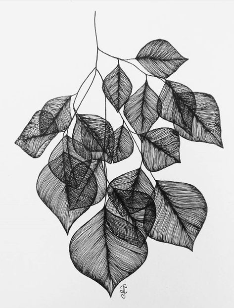 Birch Drawing, Stylo Art, Birch Leaves, Fineliner Art, Pen Art Drawings, Original Ink Drawing, Zentangle Drawings, Arte Sketchbook, Doodle Art Designs