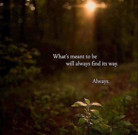 What's meant to be              will always find its way.                                                     Always. Be Quotes, Inspirational Lyrics, Meant To Be Quotes, What Is Meant, True Love Quotes, Soul Quotes, Romantic Love Quotes, More Than Words, It's Meant To Be