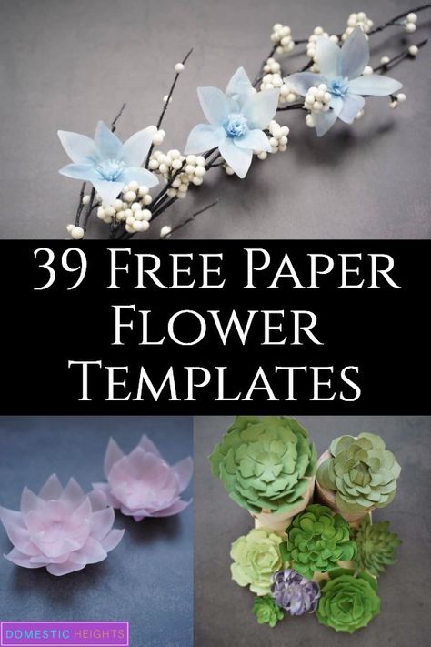 Free Paper Flower Templates, Paper Flower Templates, Paper Flower Centerpieces, Rolled Paper Flowers, Paper Flower Patterns, Paper Sunflowers, Easy Paper Flowers, Paper Flower Decor, Large Paper Flowers