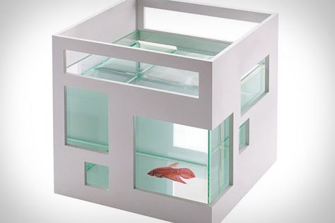 umbra fish hotel. best fishbowl ever? get this, it's stackable, so you can have a full set of fish condos. Hotel Pet, Glass Fish Bowl, Mini Aquarium, Aquarium Terrarium, Alexander Girard, Cool Fish, Pastel Decor, Modern Pet, Glass Fish