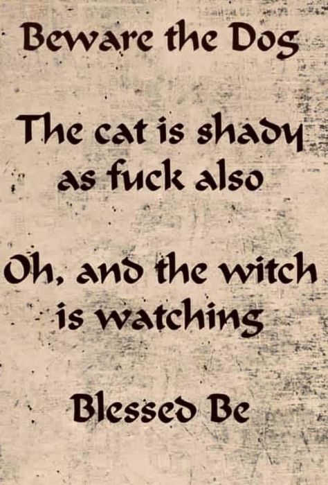 Fae Witch Aesthetic, Witchy Quotes Funny, Witchy Sayings, Witchy Quotes, Wiccan Quotes, Witch Signs, Witch Quotes, Quality Quotes, Wiccan Magic