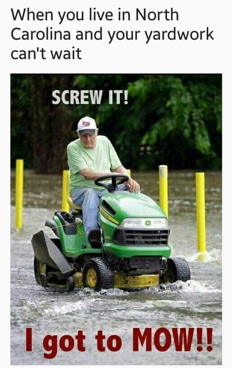 Rain Humor, Rain Meme, Weather Memes, Battle Flag, Screw It, Yard Work, Dancing In The Rain, Work Humor, Lawn Care