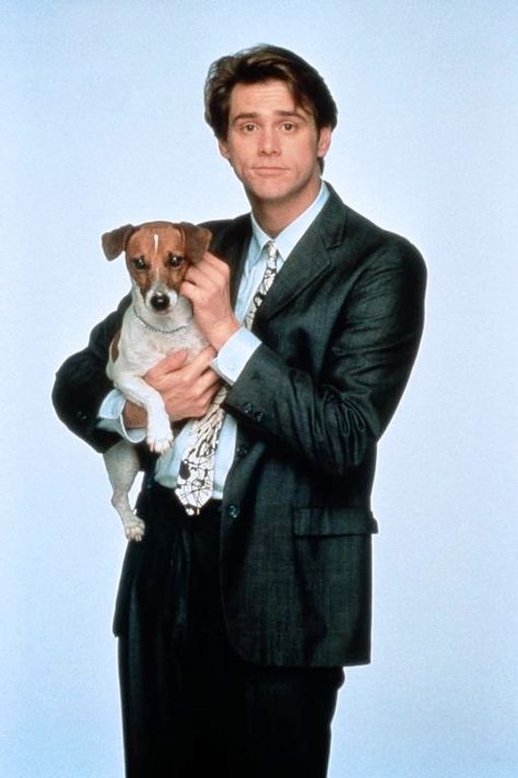 90's Movies Jim Carrey Wallpaper, Smooth Fox Terriers, Jack Russell Dogs, Jack Russells, 90s Movies, Rat Terriers, Jim Carrey, Russell Terrier, Dogs Of The World