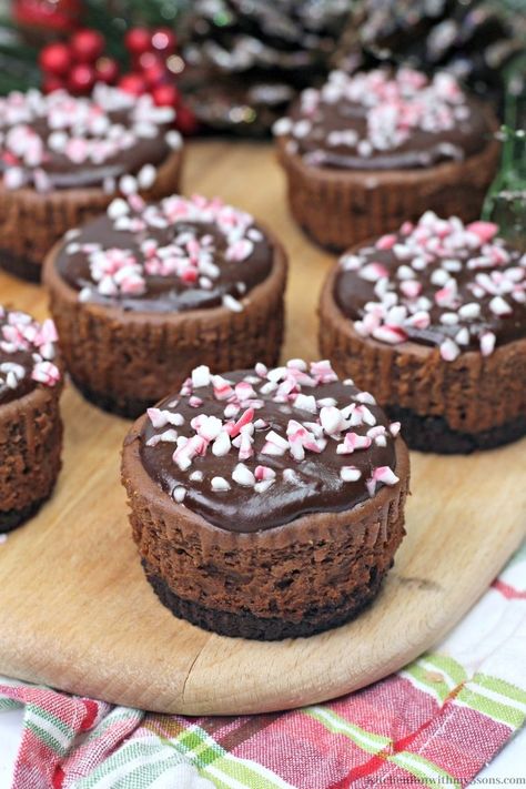 Chocolate Peppermint Cheesecake, Peppermint Dessert, Cheesecake Bites Recipe, Christmas Cheesecake, Peppermint Cheesecake, Mini Cheesecake Recipes, Holiday Desserts Table, Chocolate Chip Cheesecake, Chocolate Crust