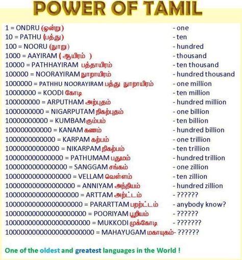 Tamil Images, Dravidian Languages, Math Quotes, Tamil Love Quotes, Hindi Language Learning, Tamil Motivational Quotes, Learn Hindi, Traditional Stories, Interesting Facts About World