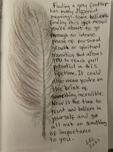 Finding a grey feather in your path... Feather Spiritual Meaning, Feather Meaning, Spiritual Meaning, Believe In You, Reiki, Meant To Be, Spirituality, The Incredibles, Grey