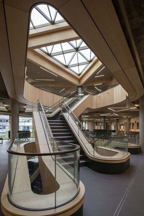 Stirling University Scotland, University Campus Architecture, Stirling University, Campus Architecture, Lightbox Signage, Outdoor Gathering Space, Central University, Study Area, Tree Canopy