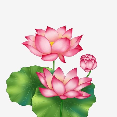 Spring Flowers Background, Fabric Paint Diy, Lotus Flower Art, Lotus Painting, Saree Painting, Wooden Flowers, Digital Flowers, Art Drawings For Kids, Flower Art Painting