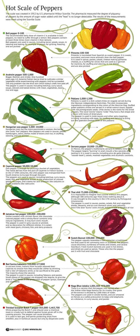 Hot Scale of Peppers - Schön gemachte Infografik der "wichtigsten" Chili-Sorten... Types Of Peppers, Stuffed Anaheim Peppers, Hot Pepper Seeds, Food Charts, Healthy Food Delivery, Food Info, Pepper Seeds, Chilli Pepper, Food Facts