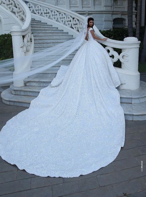 Wedding Dresses With Cathedral Train, Luxury Wedding Dress Ballgown Long Train, Ballgown Wedding Dress Long Train, Big Wedding Dresses With Long Trains, Wedding Dresses Designs, Puffy Wedding Dresses, Extravagant Wedding Dresses, Big Wedding Dresses, Wedding Gown Backless