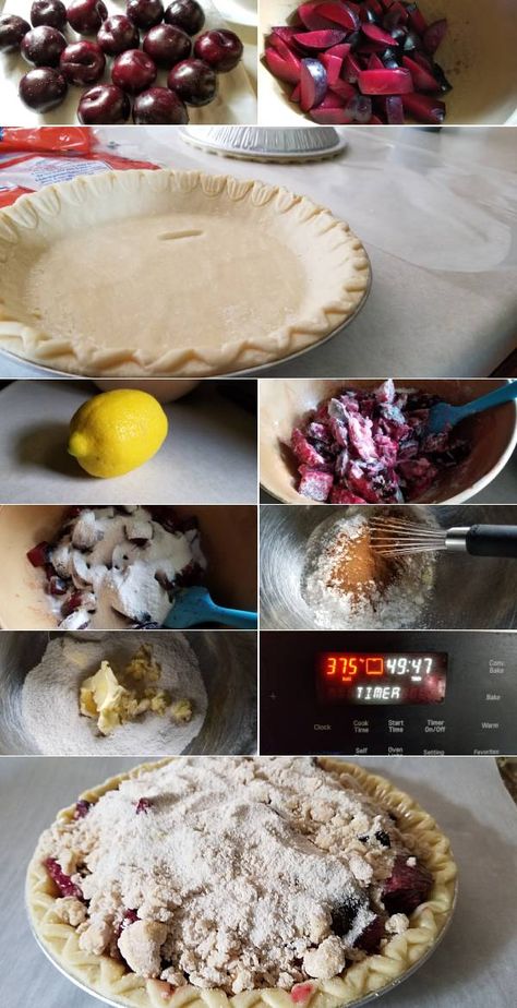 Plum Dinner Recipes, Plum Pie Recipe Easy, Apple Plum Pie, Plum Pie Filling Recipe, Plum Pie Filling, Plum Recipe, Plum Pie Recipe, Plum Dumplings, Award Winning Pies