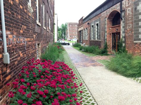 The Detroit Green Alley in Detroit Rain Gardens, Urban Heat Island, Reclaimed Brick, Dry Creek, Rain Garden, Hotel Interiors, Garden Landscape Design, Community Gardening, Backyard Projects