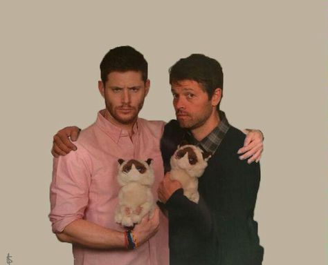 Misha Jensen, Jesen Ackles, Spn Memes, Supernatural Actors, Jensen And Misha, Jensen Ackles Jared Padalecki, Supernatural Pictures, Dean And Castiel, Supernatural Destiel