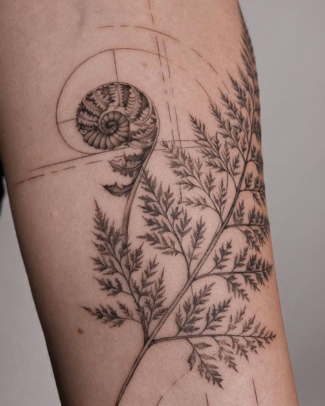 Floral and geometric 🤍 love to combine both • done at @giahi | Instagram Fern Chest Tattoo, Fiddlehead Tattoo, Fern Tattoo Sleeve, Geometric Nature Tattoo, Floral Sternum Tattoo, Geometric Tattoo Sleeve, Fibonacci Tattoo, Fern Tattoo, Autumn Tattoo