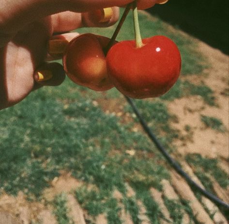 Pretty Stars, Terrence Loves You, You My Love, Fotografi Vintage, Summer Wines, Lust For Life, Vintage Americana, Summer Dream, Spotify Playlist