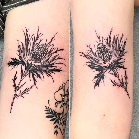 Thistle Tattoo Black, Thistle Tattoo, Delicate Tattoo, Botanical Tattoo, Friend Tattoos, I Hope You, Paw Print, Instagram A, Tatting