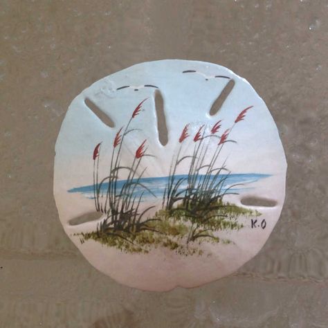 Sanddollar Crafts, Painted Sand Dollars, Sand Dollar Craft, Sand Dollar Art, Sand Dollar Ornament, Seashell Projects, Seashell Painting, Shell Crafts Diy, Sand Dollars