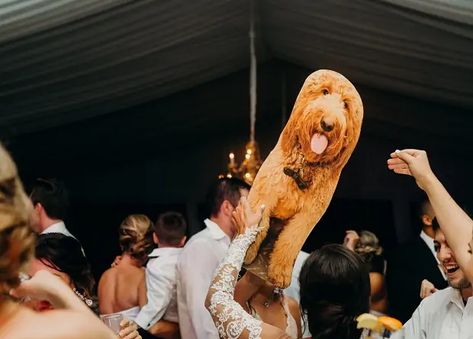 11 Adorable Ways to Include Your Pet in Your Wedding Wedding Photo Checklist, Father Of Bride, Confetti Bars, Thoughtful Wedding Gifts, Easy Pets, Wedding Pets, Cardboard Cutout, Bridal Musings, Whimsical Wonderland Weddings