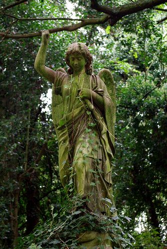 Cemetery Angels, Highgate Cemetery, Cemetery Statues, Angel Statue, Cemetery Art, Old Cemeteries, Angels Among Us, Angel Statues, Foto Art